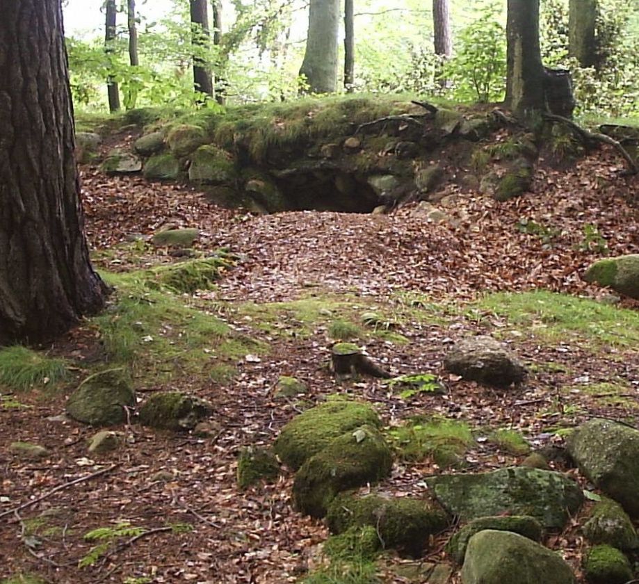 Natural-forest pathway called Szklana Huta